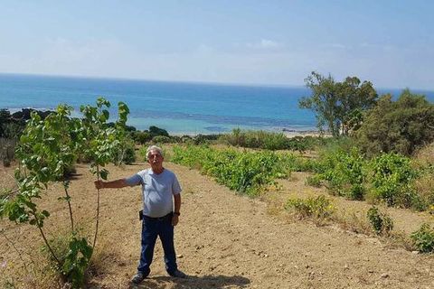Helårsgrund i Realmonte, Agrigento, Realmonte - € 40.000 | Ref: Pergole Judith - foto 15